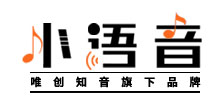 上海小语音电子科技有限公司