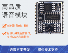 目前市场上流行的WT2003H语音模块为何备受欢迎？