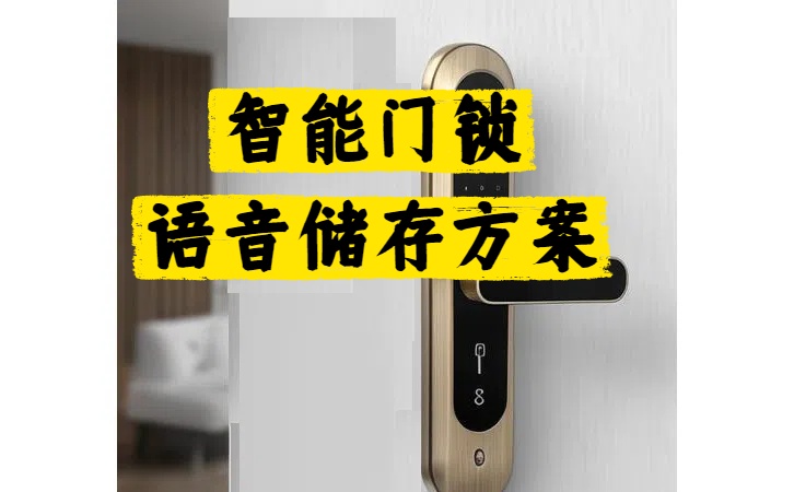 智能门锁的语音储存方案